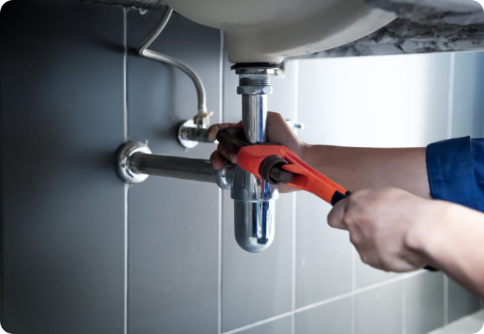 shutterstock_2461094039_1